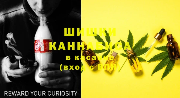 спайс Ладушкин