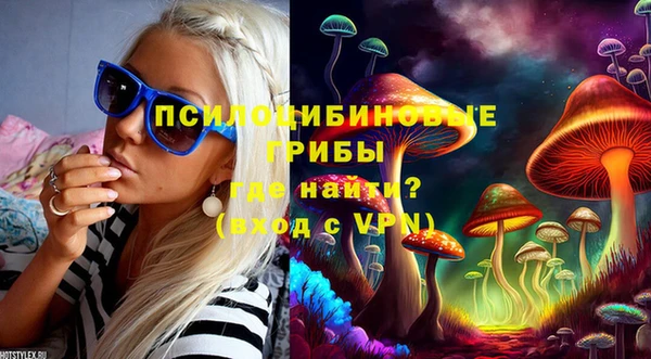 амфетамин Лабытнанги