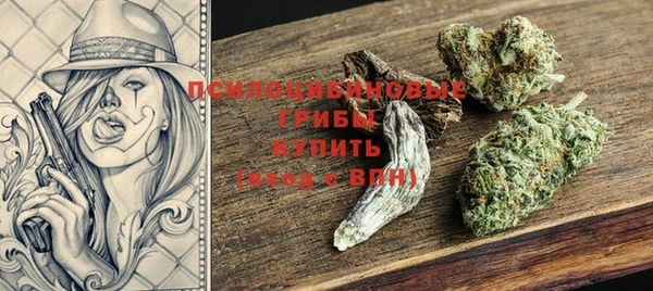 спайс Ладушкин