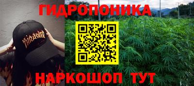 сатива Жуковский