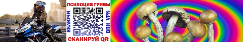 Галлюциногенные грибы Psilocybe Углич