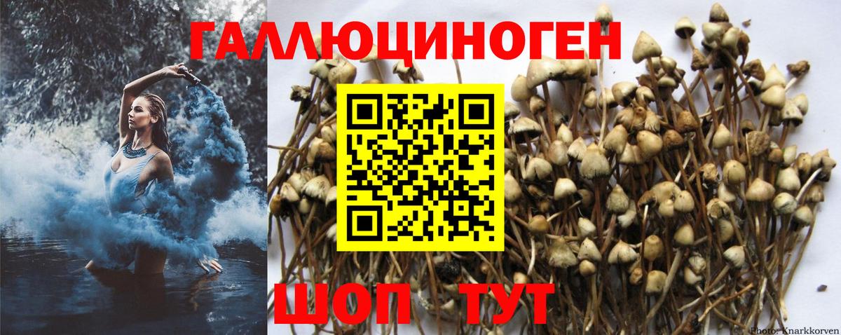 Галлюциногенные грибы мицелий  Вход с VPN  Углич 